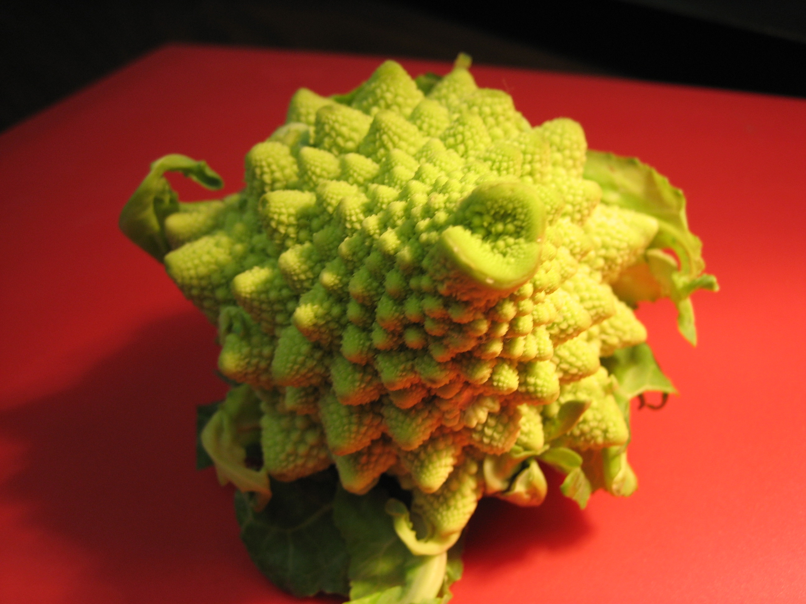 Weird green
cauliflower on red background