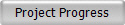 Project Progress