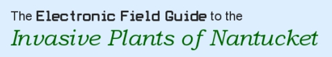 The Electronic Field Guide to the Invasive Plants of Nantucket