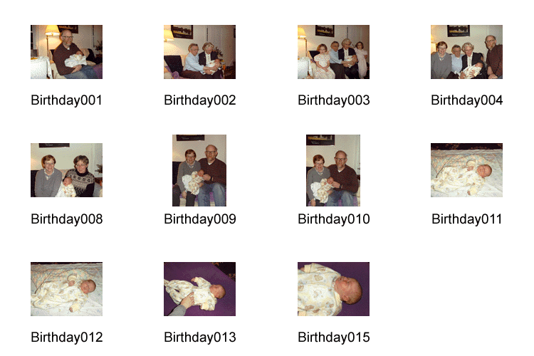 Contact Sheet of Brendan Birthday Photos