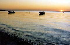 sunset at Nantucket Field Station