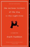 Cover file for 'The Curious Incident of the Dog in the Night-Time'